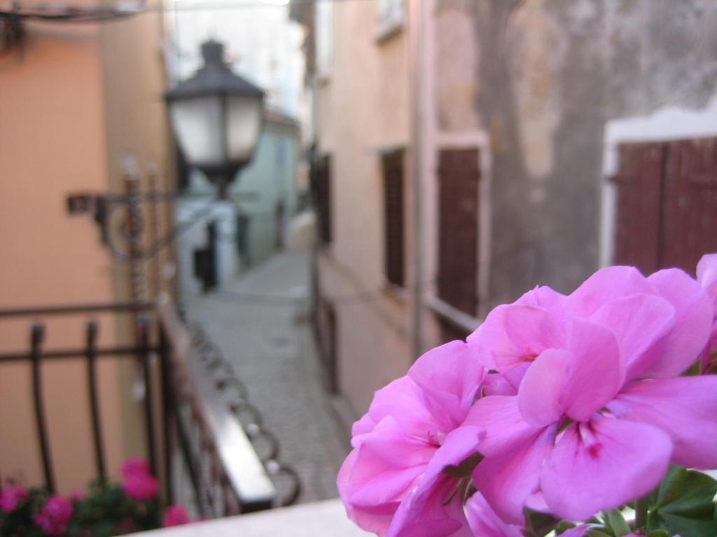 Apartment Below The Stars Rovinj Exterior foto